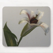 Little Lily mousepads by designcreatology Little Lily mousepads