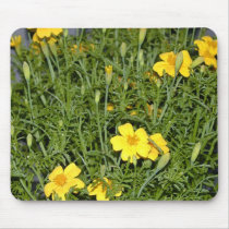 Little Marigolds Mousepad