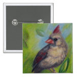Little Miss Cardinal aceo Button buttons