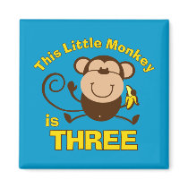 Little Monkey 3rd Birthday Boy Fridge Magnets