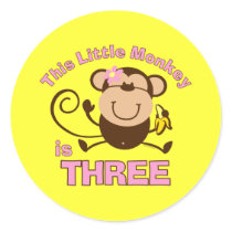 Little Monkey 3rd Birthday Girl Stickers
