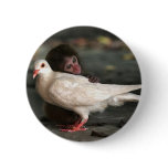 Little Monkey Hugging Bird Button