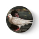 Little Monkey Hugging Bird buttons by jeremyblum Little Monkey Hugging Bird buttons