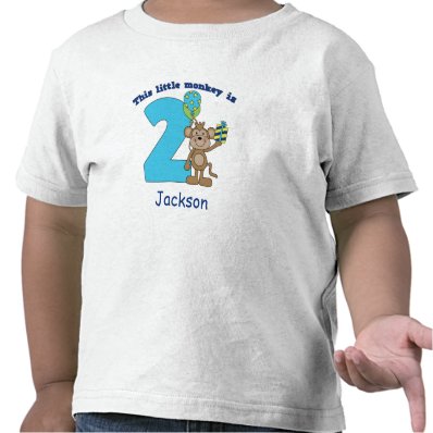 Little Monkey Kids 2nd Birthday Personalized Shirts