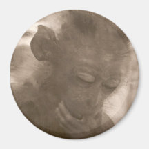 Little Monkey Magnet