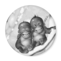 Little Monkeys Refrigerator Magnet