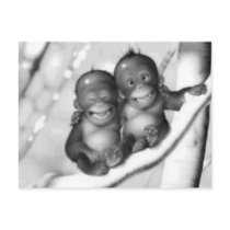 Little Monkeys Postcard