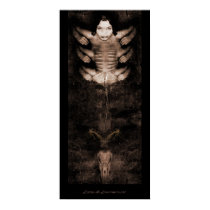 Little Ms. Love-me-Not posters