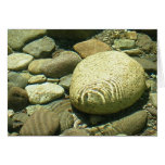 Little N. Fork Santiam River near Salem Oregon cards