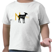 little NAPHTALI Tee Shirt