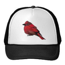Little Network Bird hats