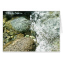 Little North Fork Santiam River cards by ebroskie1234 Little North Fork Santiam River cards