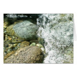 Little North Fork Santiam River cards