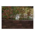 Little Old Bird House Greeting Cards