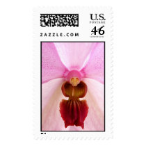 little old lady postage