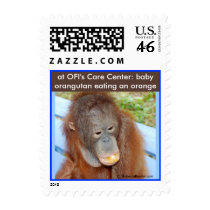 Little Orangutan Eating an Orange postage