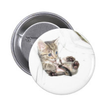 Little orphan Annie Buttons