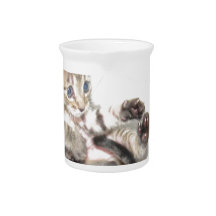 Little orphan Annie Pitcher