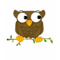 Little Owl T-Shirt