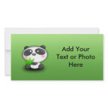Little Panda Cub Photo Cards