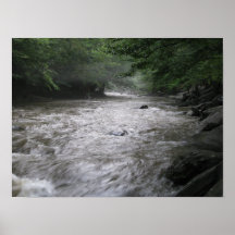 Little Pigeon River 2010 Print