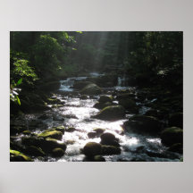Little Pigeon River 2 Poster