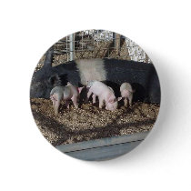 Little Piggies buttons by lifesphere Little Piggies buttons