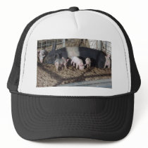 Little Piggies hats
