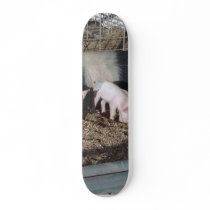 Little Piggies skateboards
