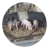 Little Piggies stickers