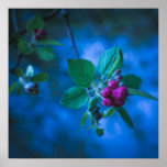 Little pink flowers print