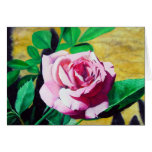 Little Pink Rose Card