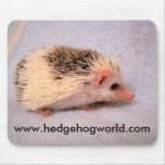 Little pinto mousepad