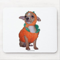 Little Pumpking Chihuahua Mouse Pad
