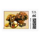 Little Pup's Harvest postage postage