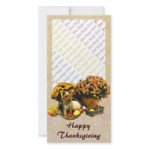 Little Pup's Thanksgiving photo card