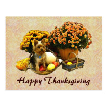 Little Pup's Thanksgiving postcard postcards
