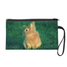 Little rabbit wristlet clutch