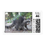 Little Raccoon Postage postage