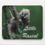 Little rascals coati - lemur mouse pad