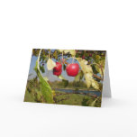 Little Red Apples greeting card