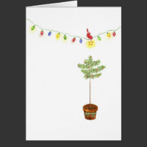 Little Red Bird Christmas Tree cards