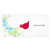 LITTLE RED BIRD photo cards by bd5178 LITTLE RED BIRD photo cards