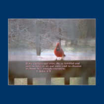 Little Red Bird postcards
