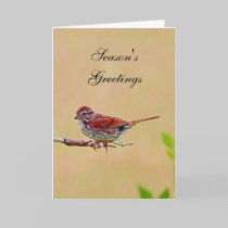 Little Red Bird Season's Greetings Card cards