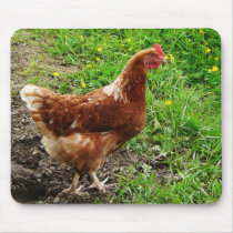 Little Red Chicken  - Free Range Egg Layer Mousepads