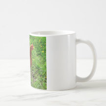 Little Red Chicken  - Free Range Egg Layer Mugs