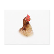Little Red Hen Postcard