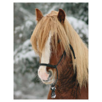 Little Red in the Snow Personalized Flyer