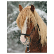 Little Red in the Snow Letterhead Template